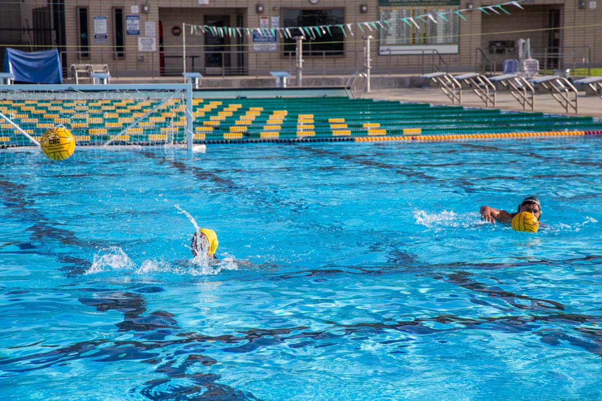 Men's water polo team