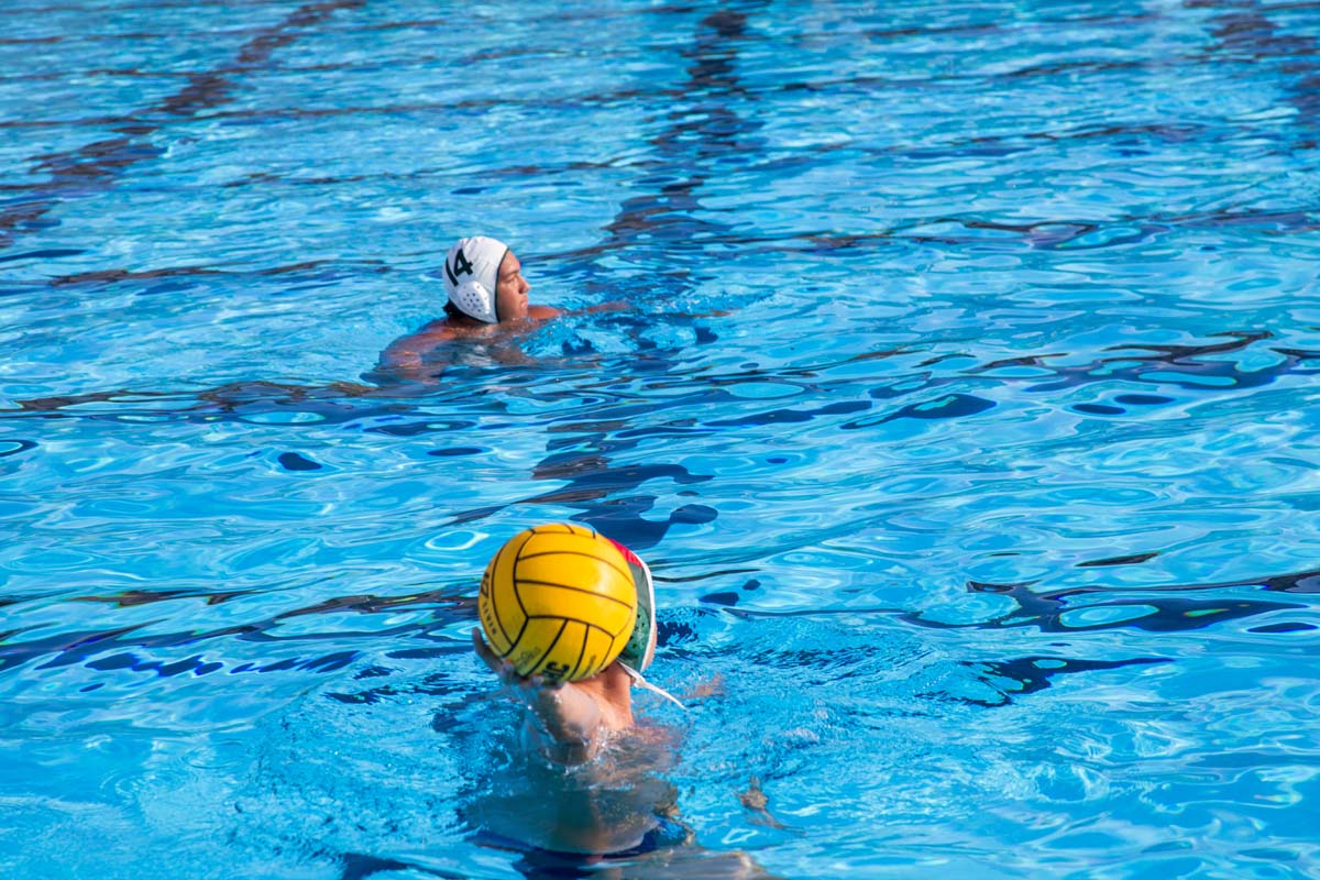 Men's water polo team