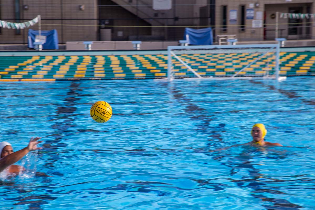 Men's water polo team