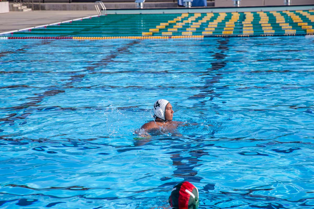 Men's water polo team