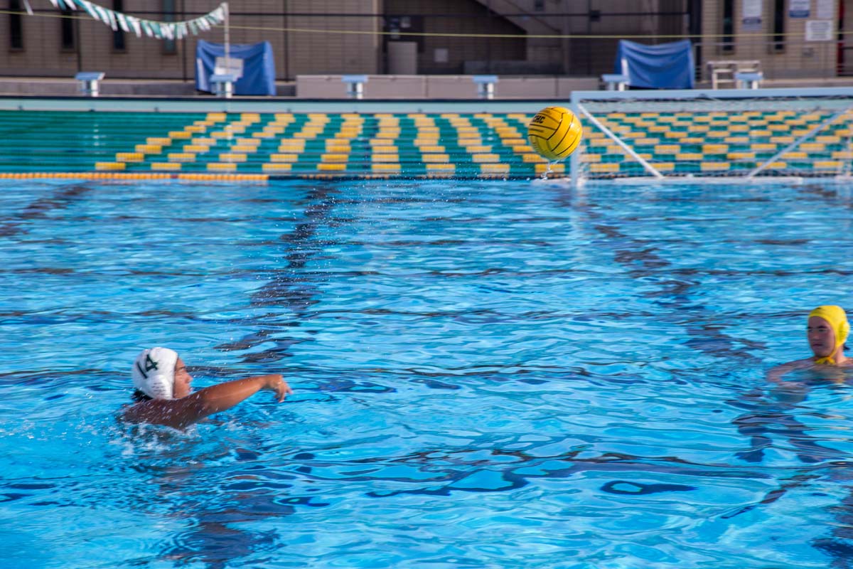 Men's water polo team