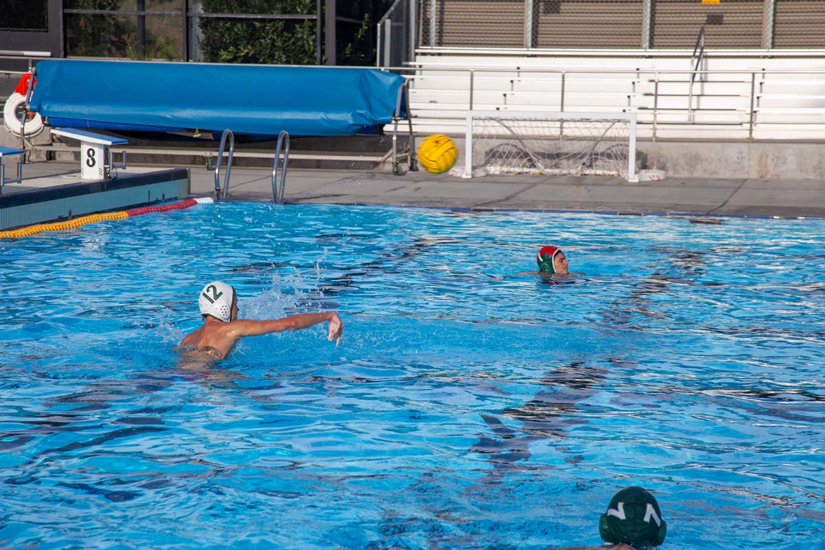 Men's water polo team