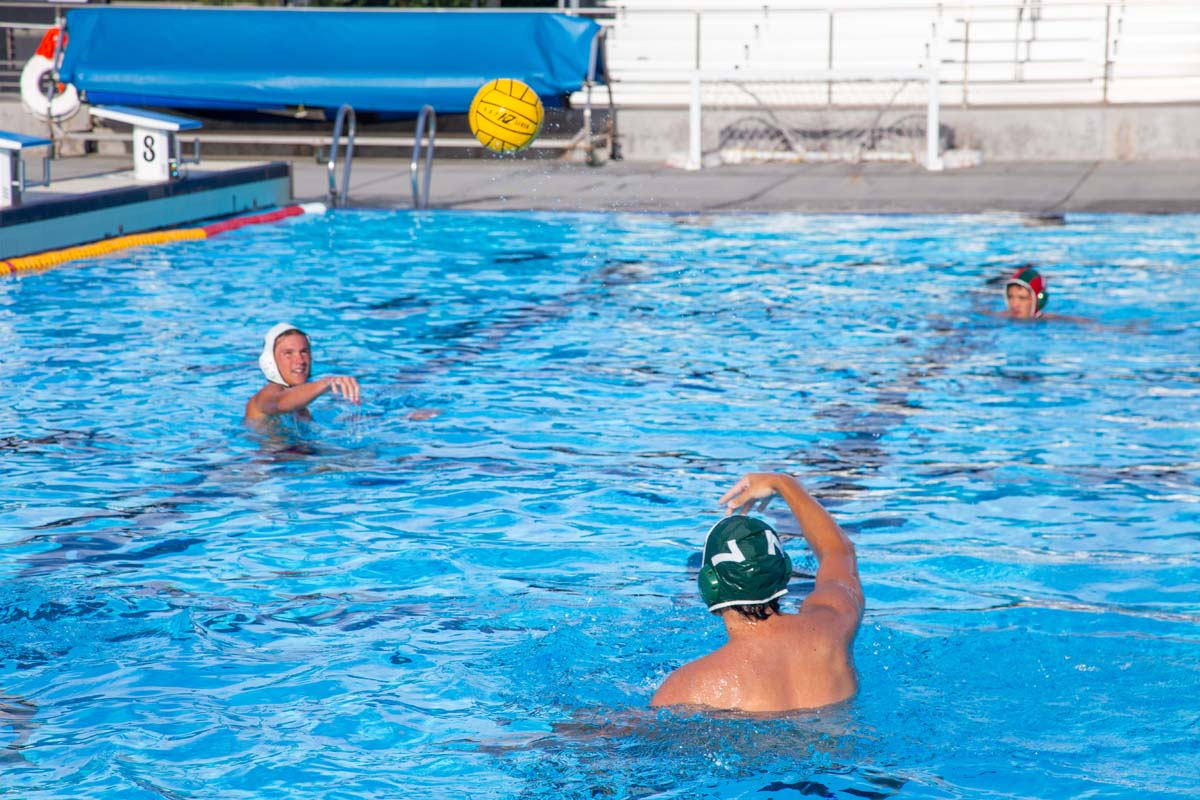 Men's water polo team