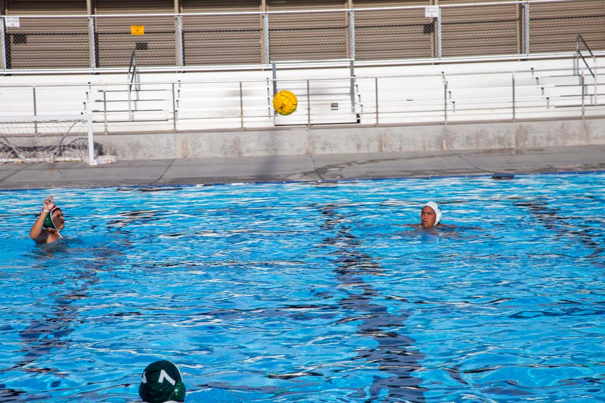 Men's water polo team