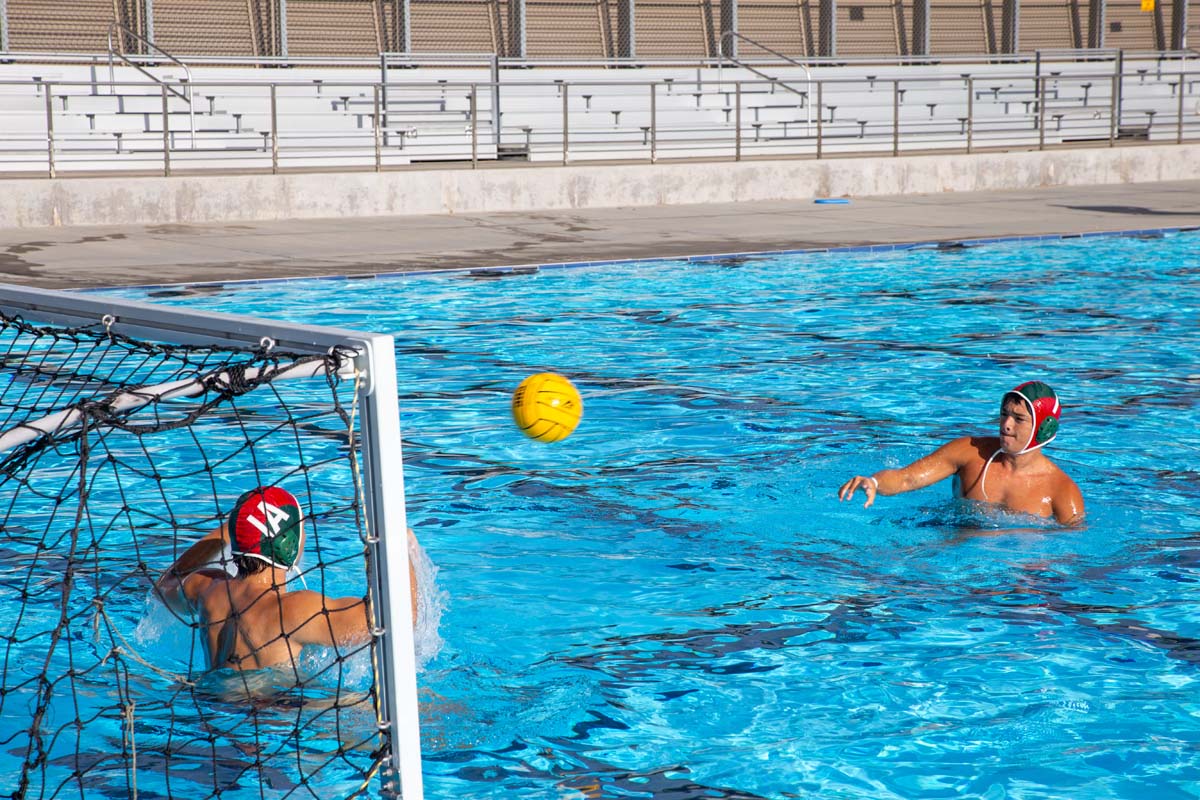 Men's water polo team