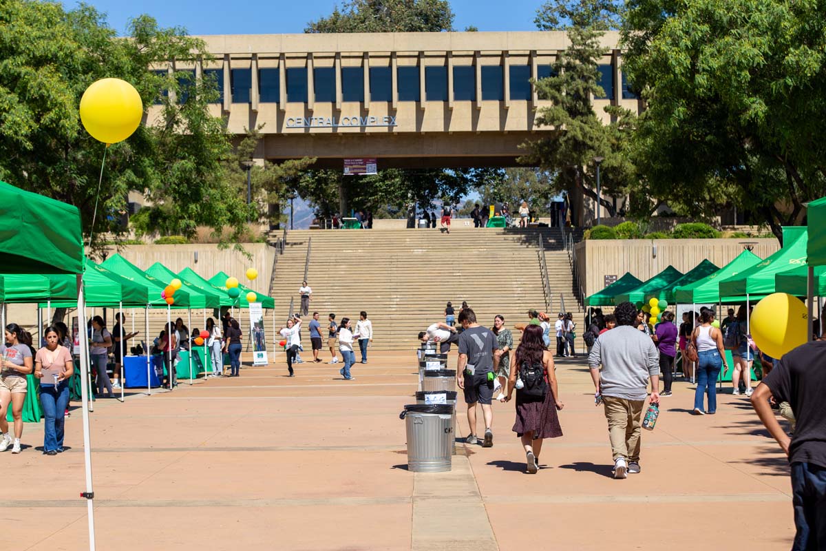 People enjoying the Roadrunner Rally