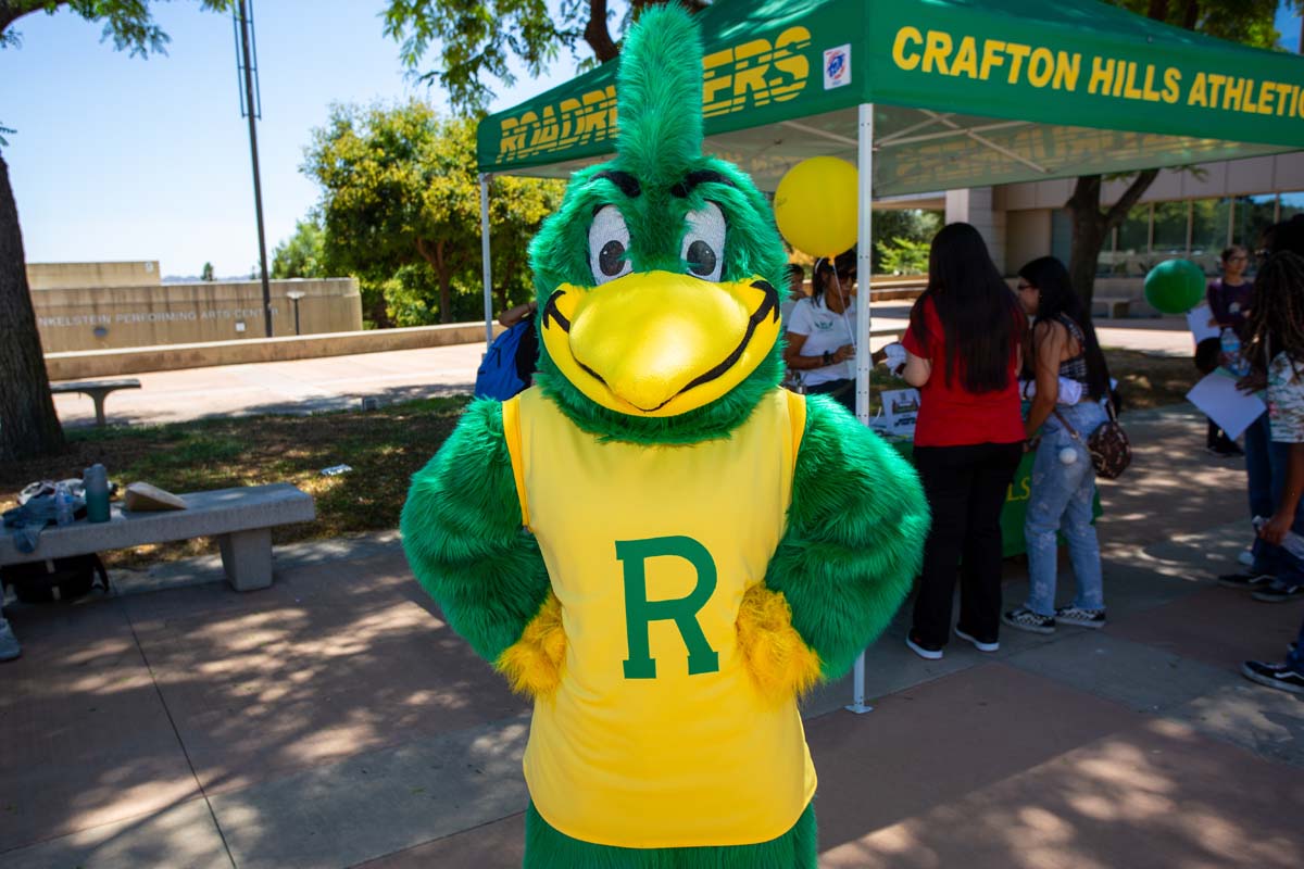 People enjoying the Roadrunner Rally