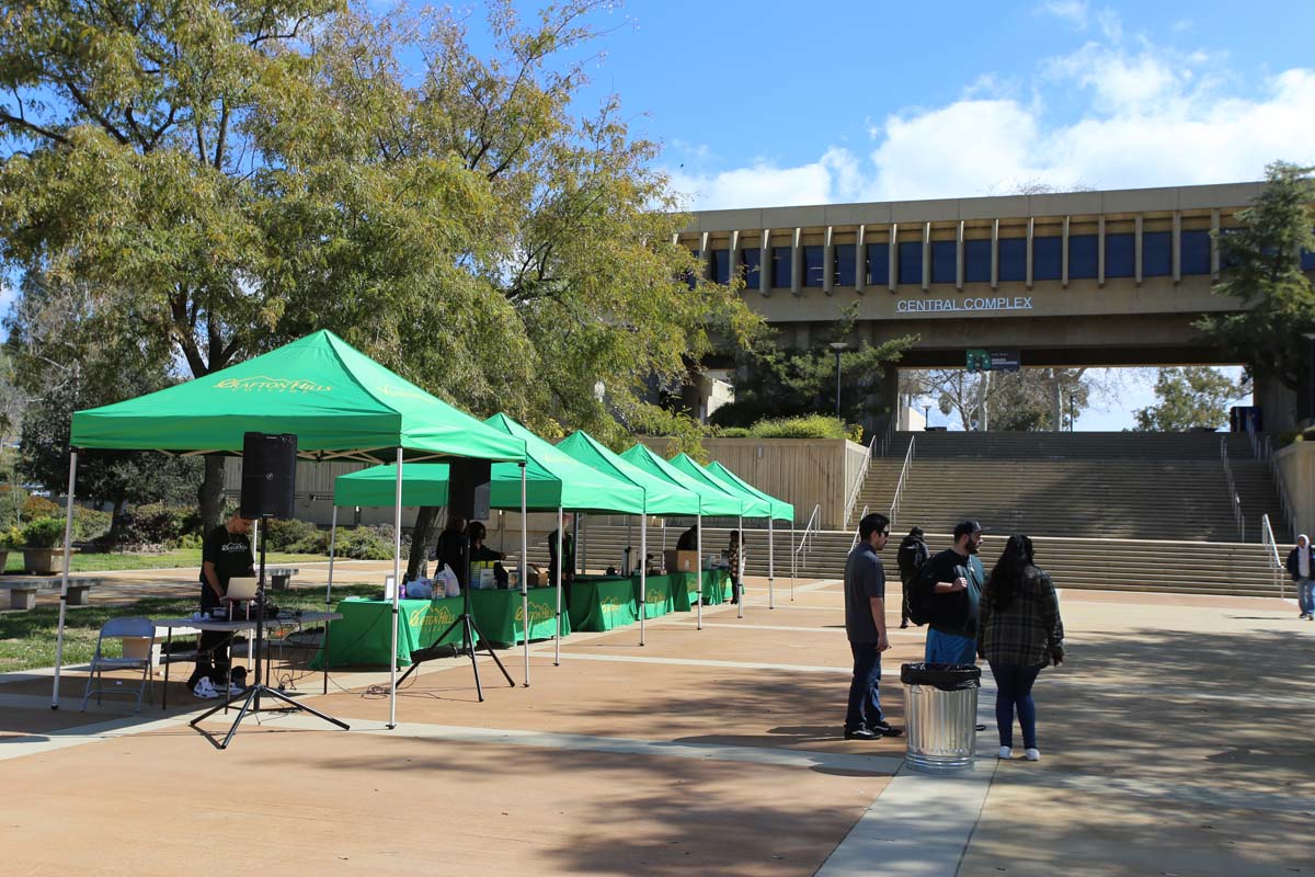 People enjoying Club Rush