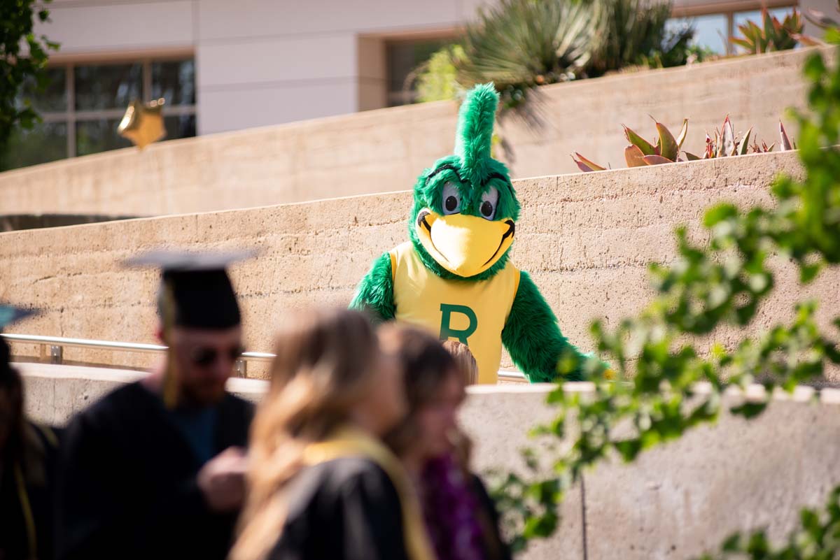 People enjoying Commencement