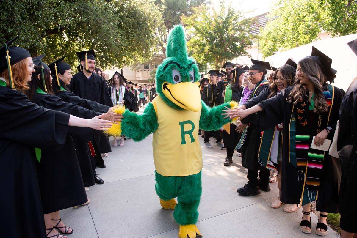 People enjoying Commencement