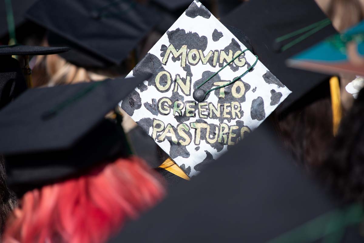 People enjoying Commencement