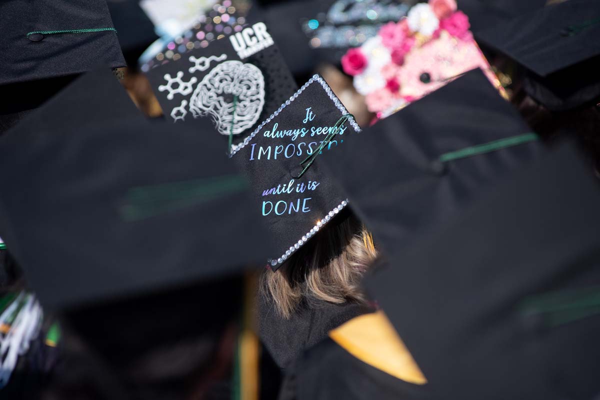 People enjoying Commencement