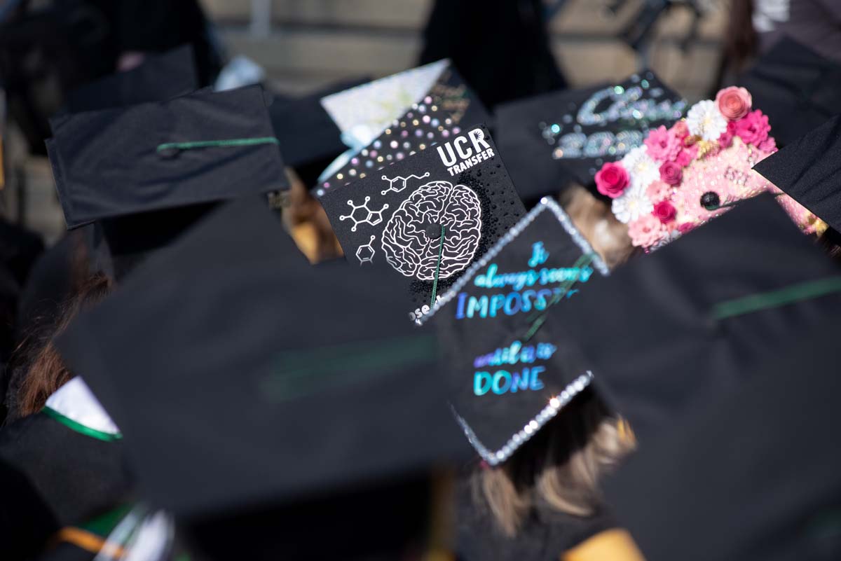 People enjoying Commencement