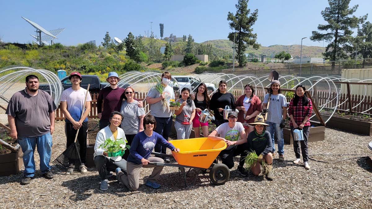 Garden volunteers