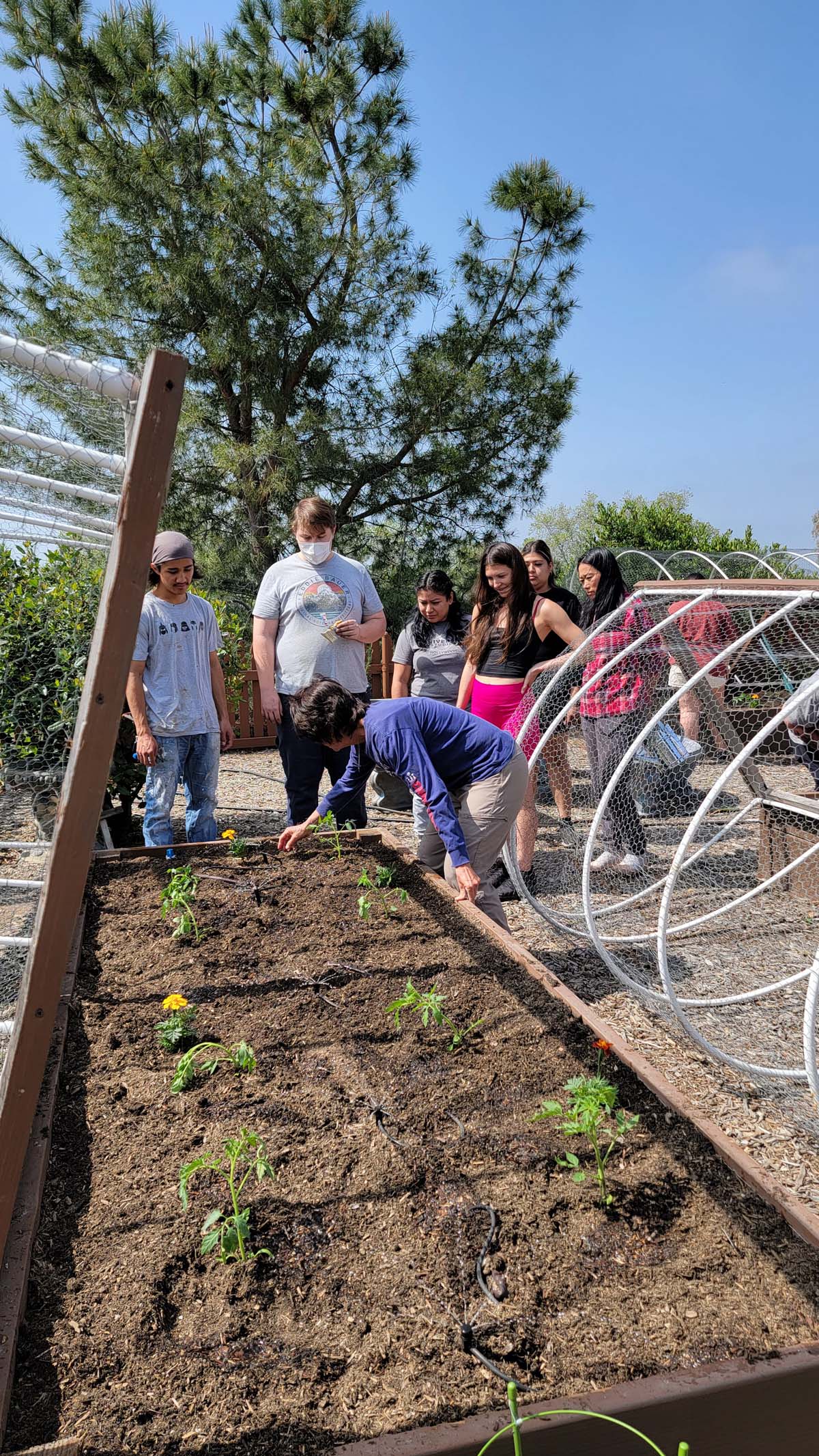 Garden volunteers