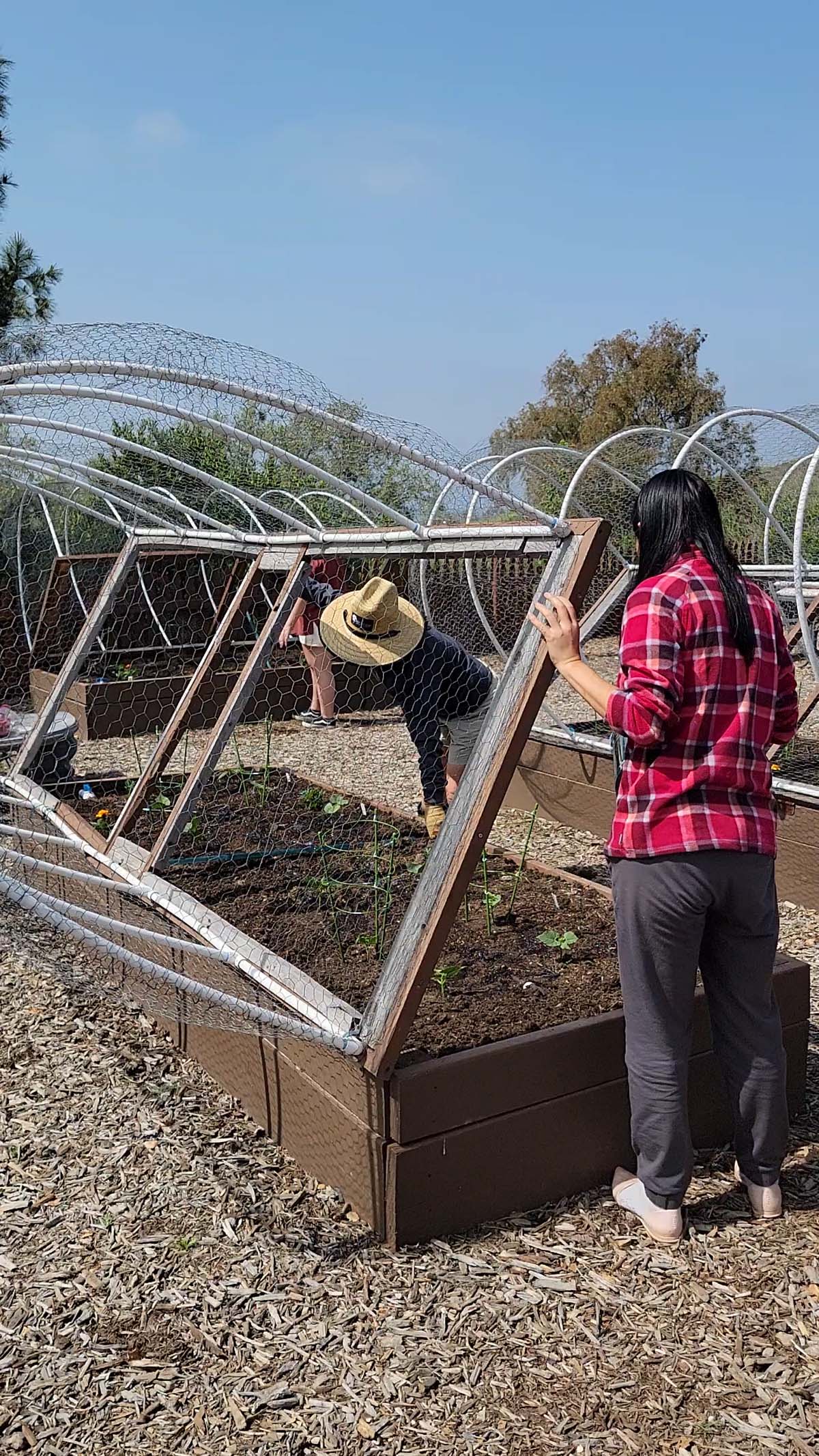 Garden volunteers