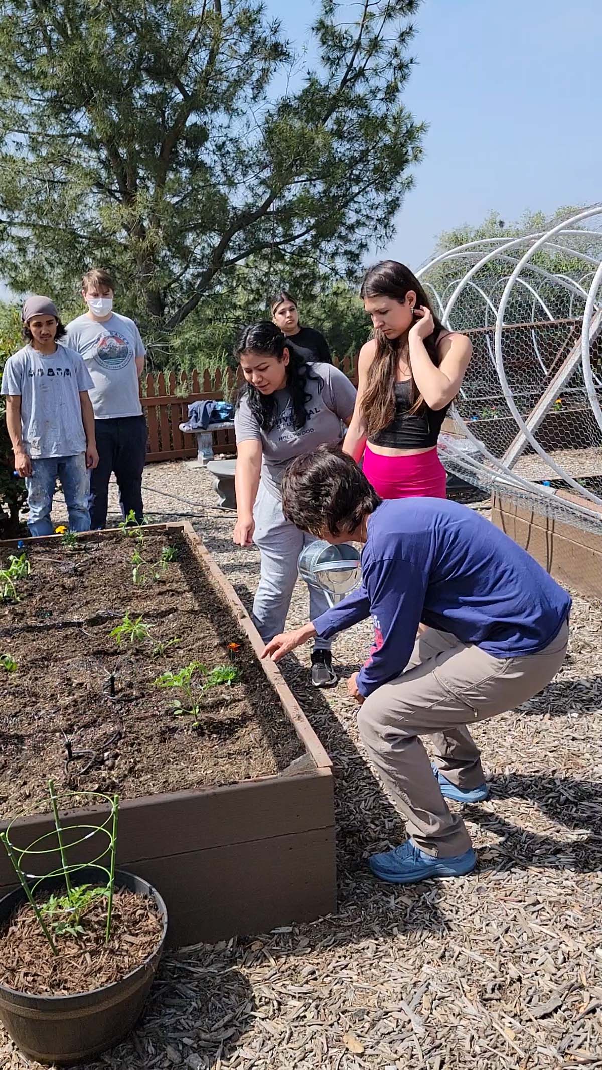 Garden volunteers