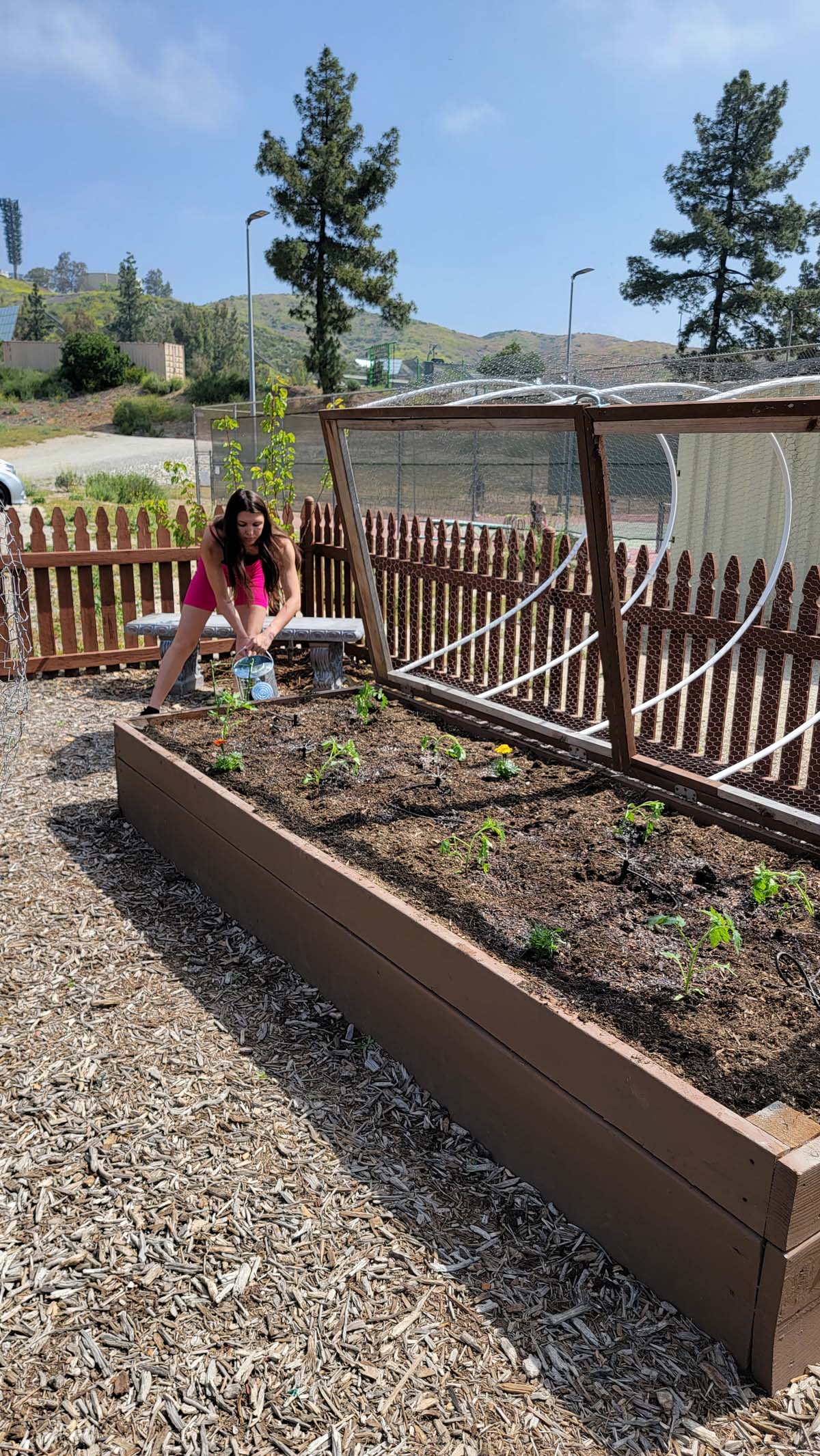 Garden volunteers