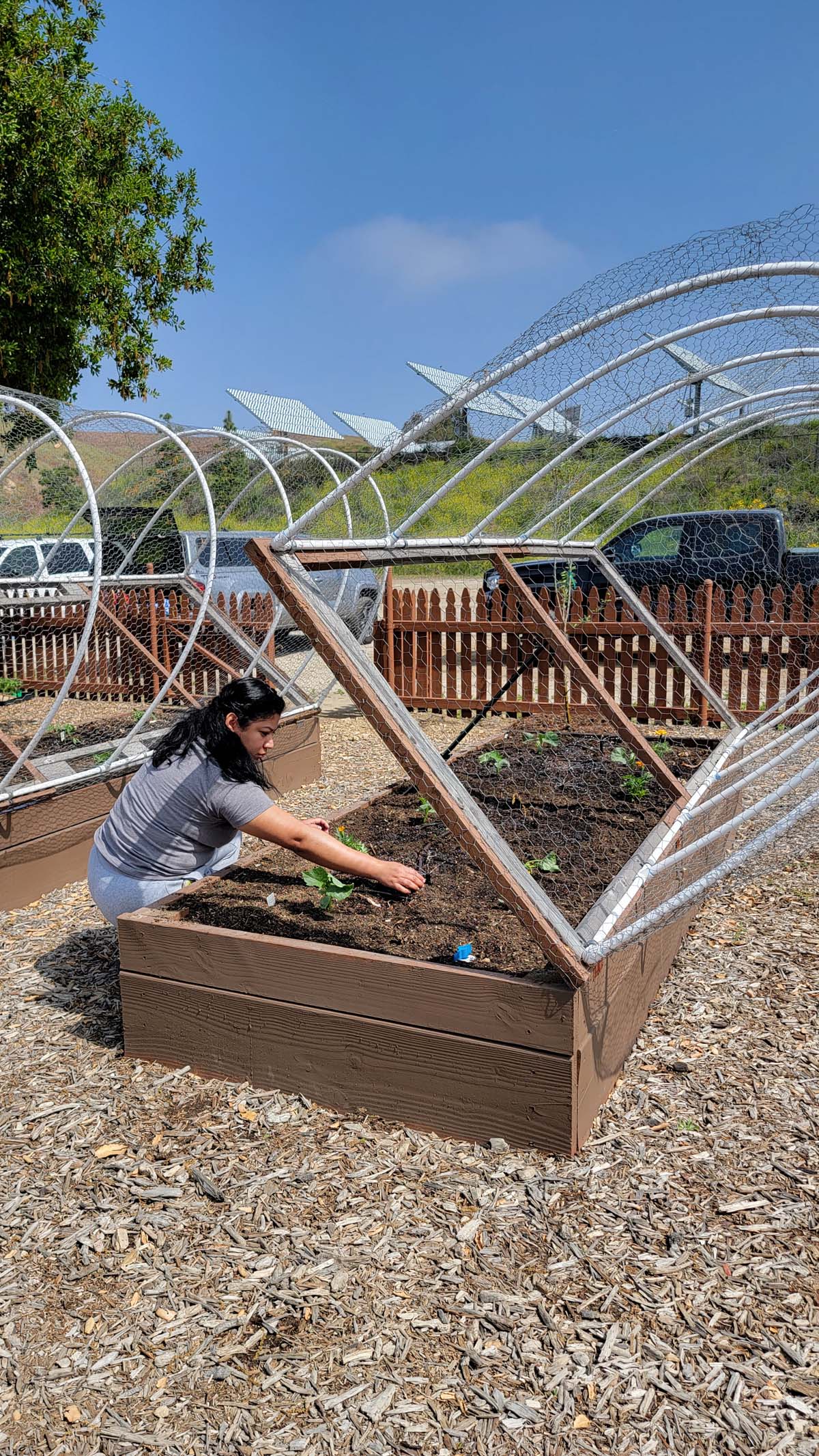 Garden volunteers