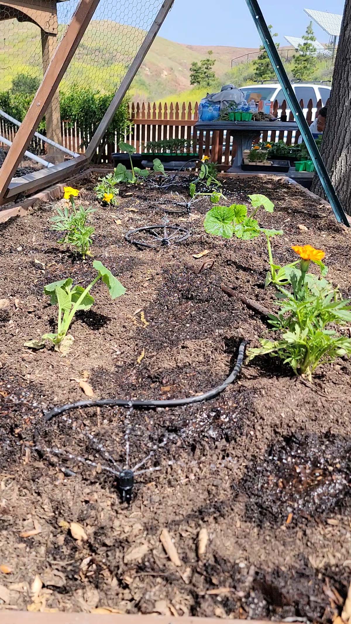 Garden volunteers