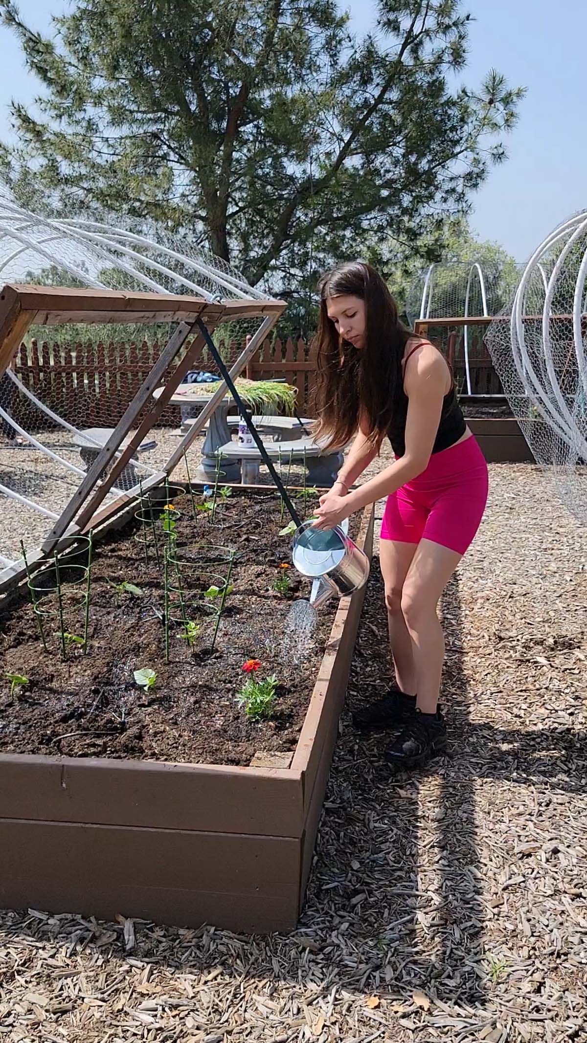 Garden volunteers