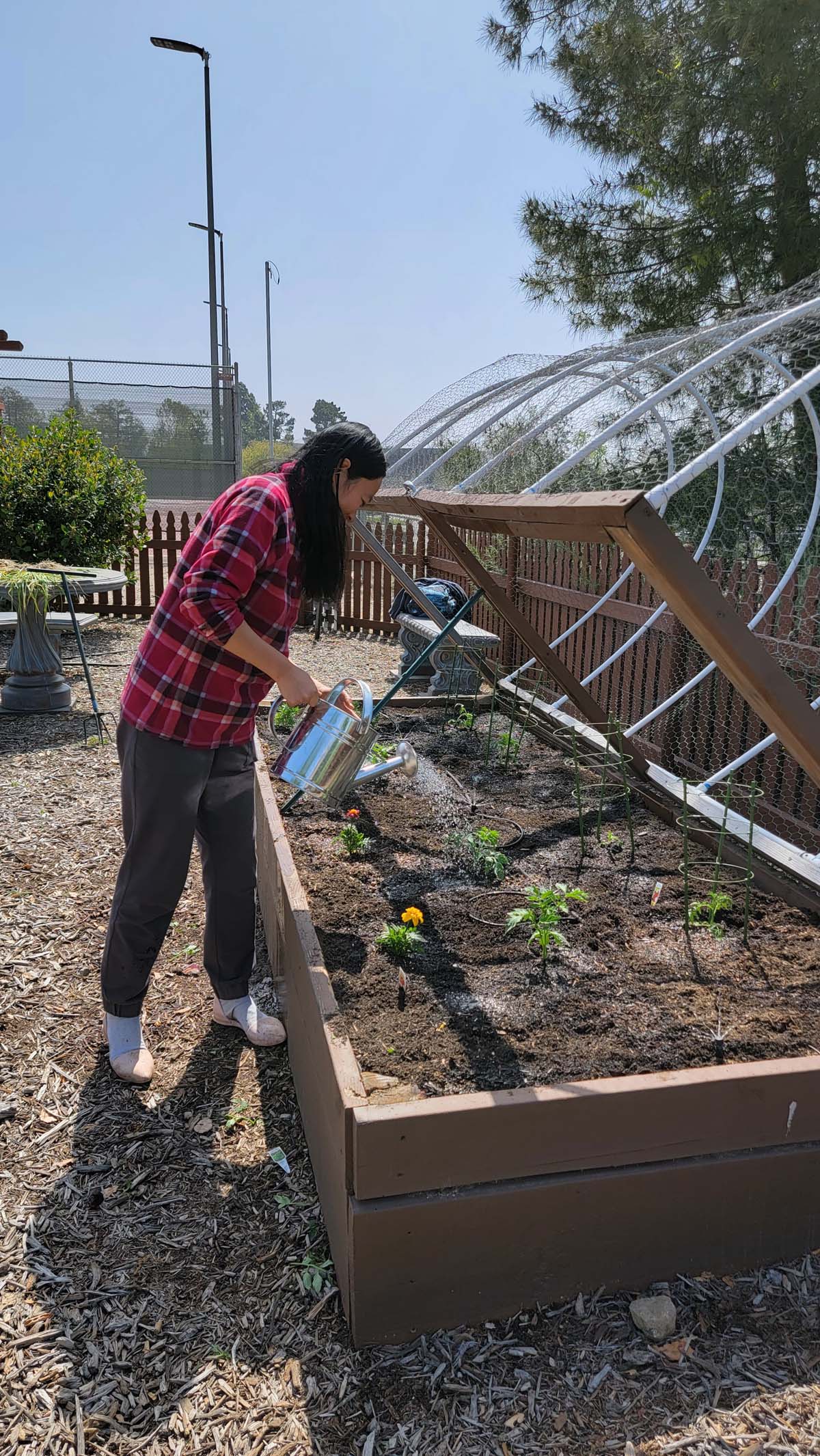 Garden volunteers