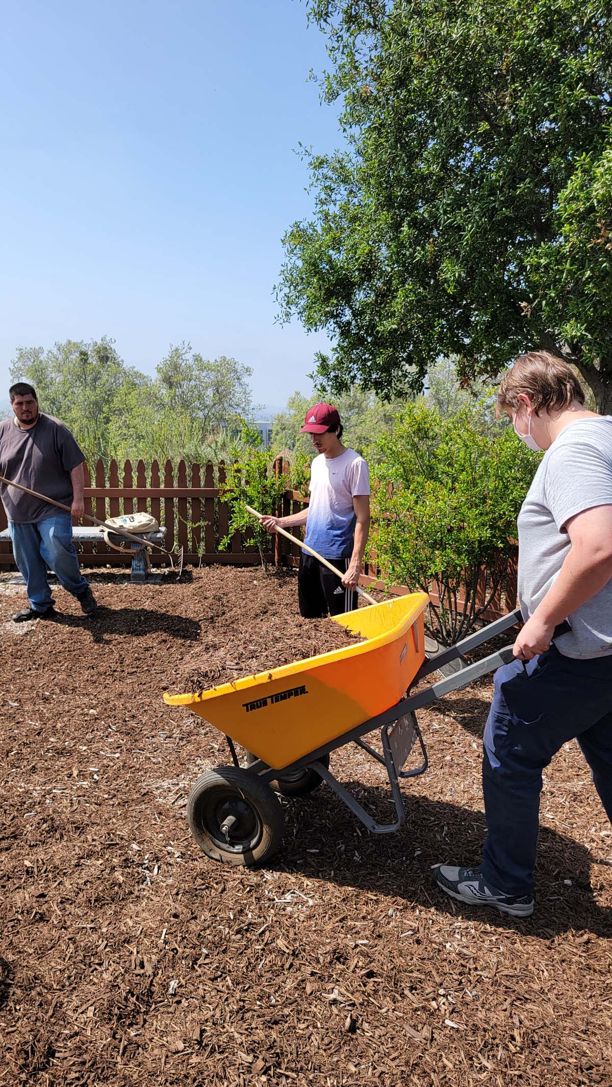 Garden volunteers