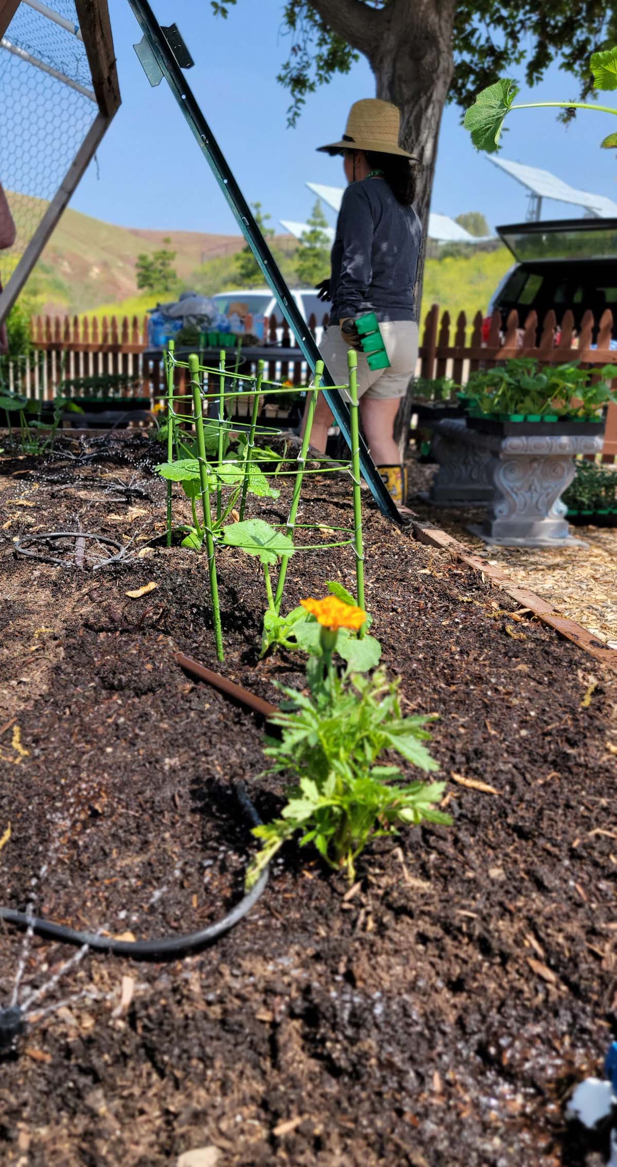 Garden volunteers