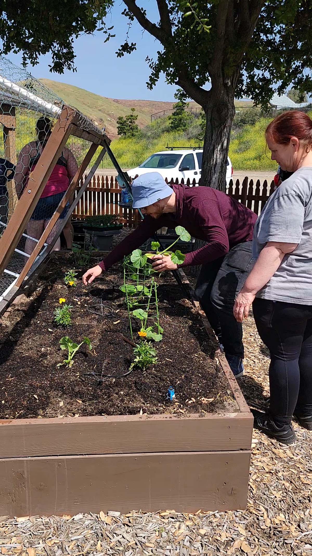 Garden volunteers