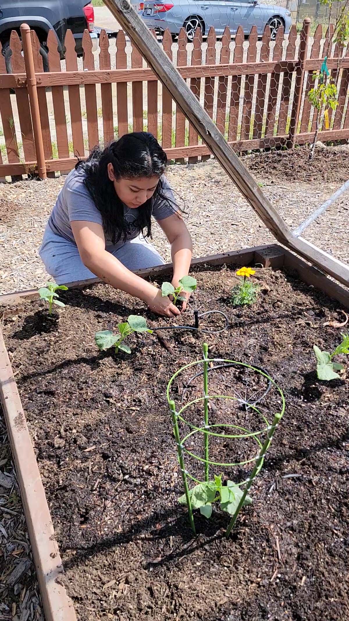 Garden volunteers