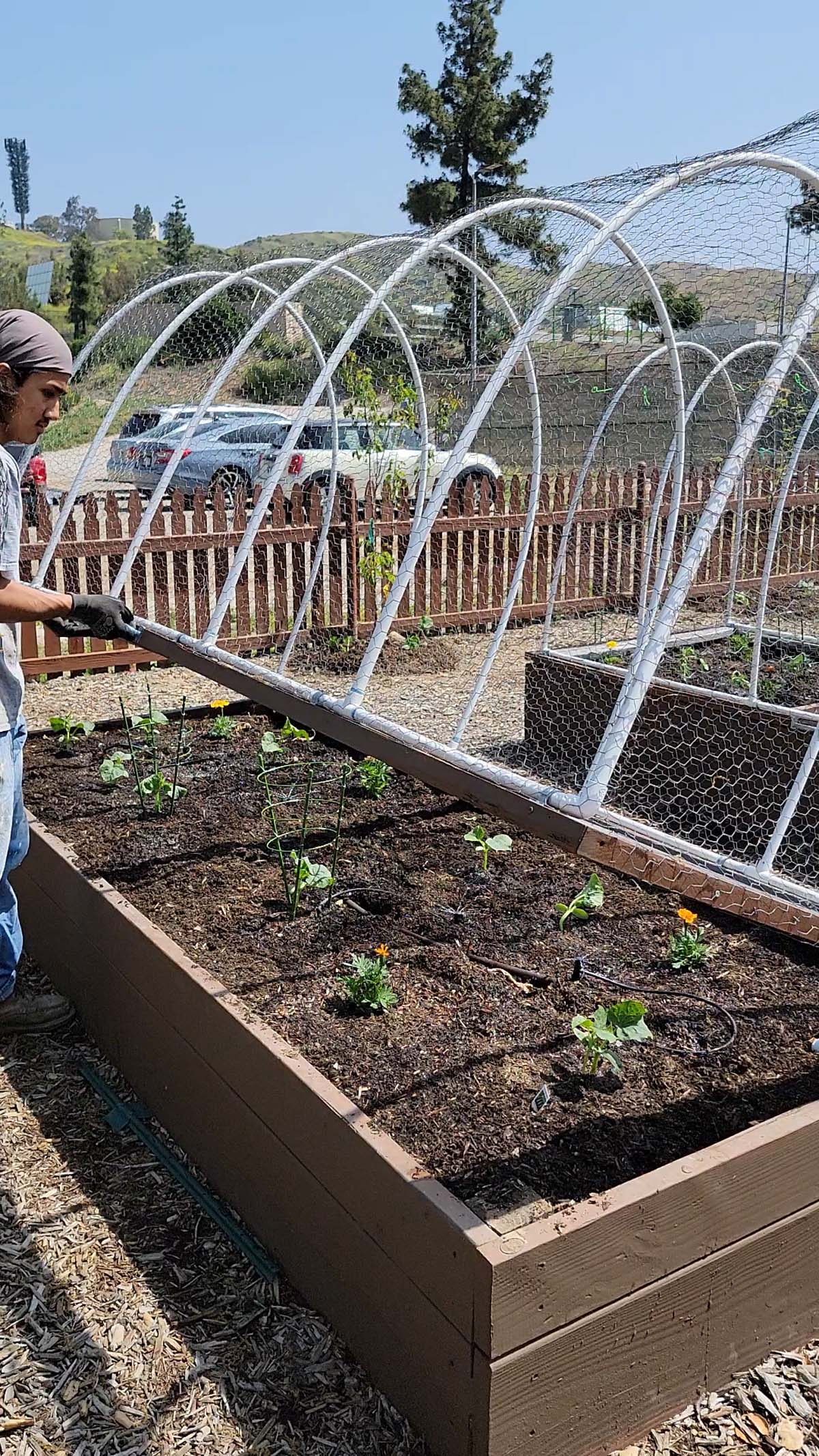 Garden volunteers