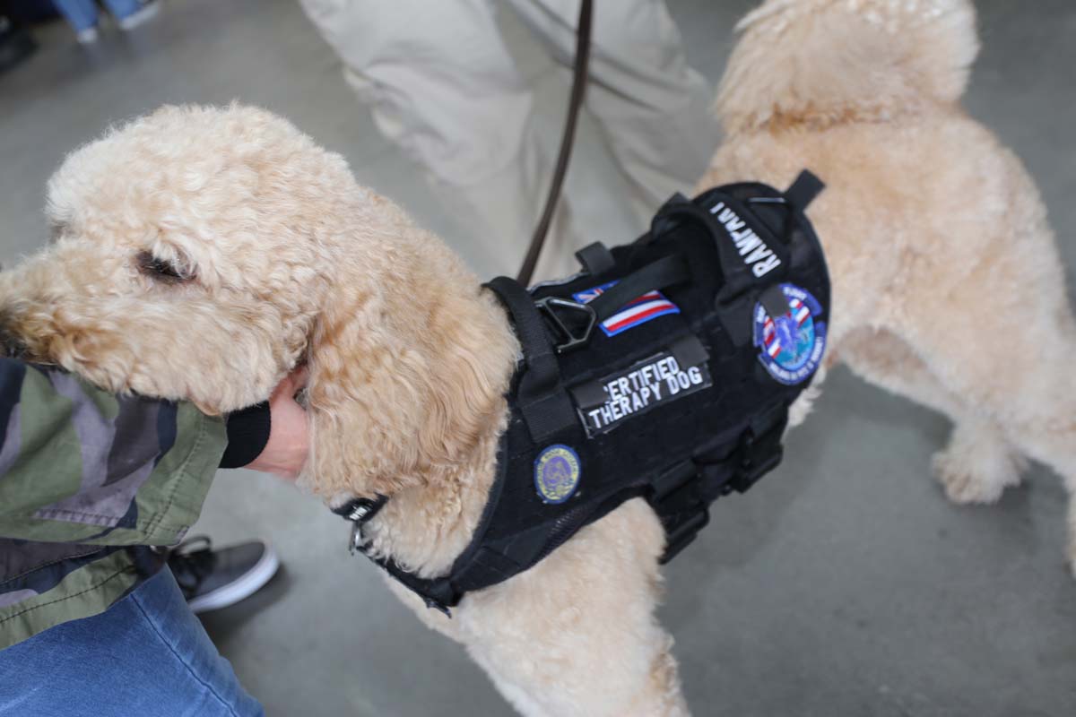 Public Safety Career Day