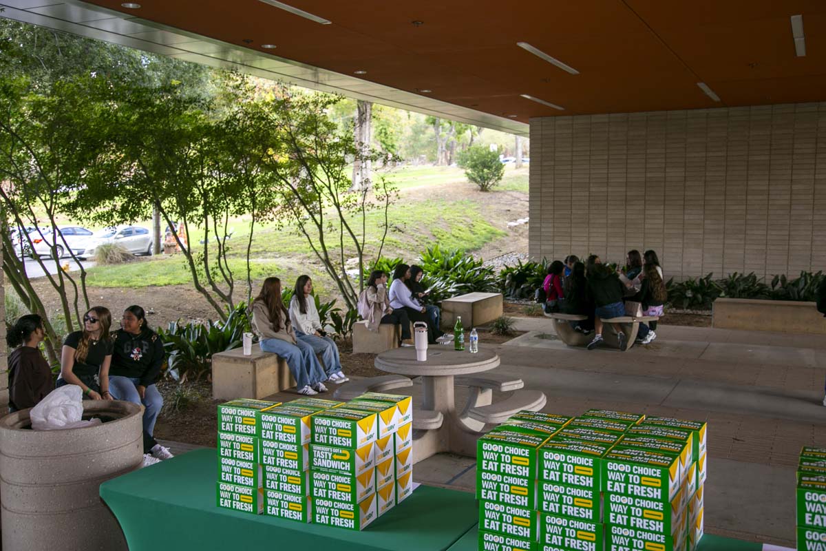 Girl Scounts Health Medical Careers Day