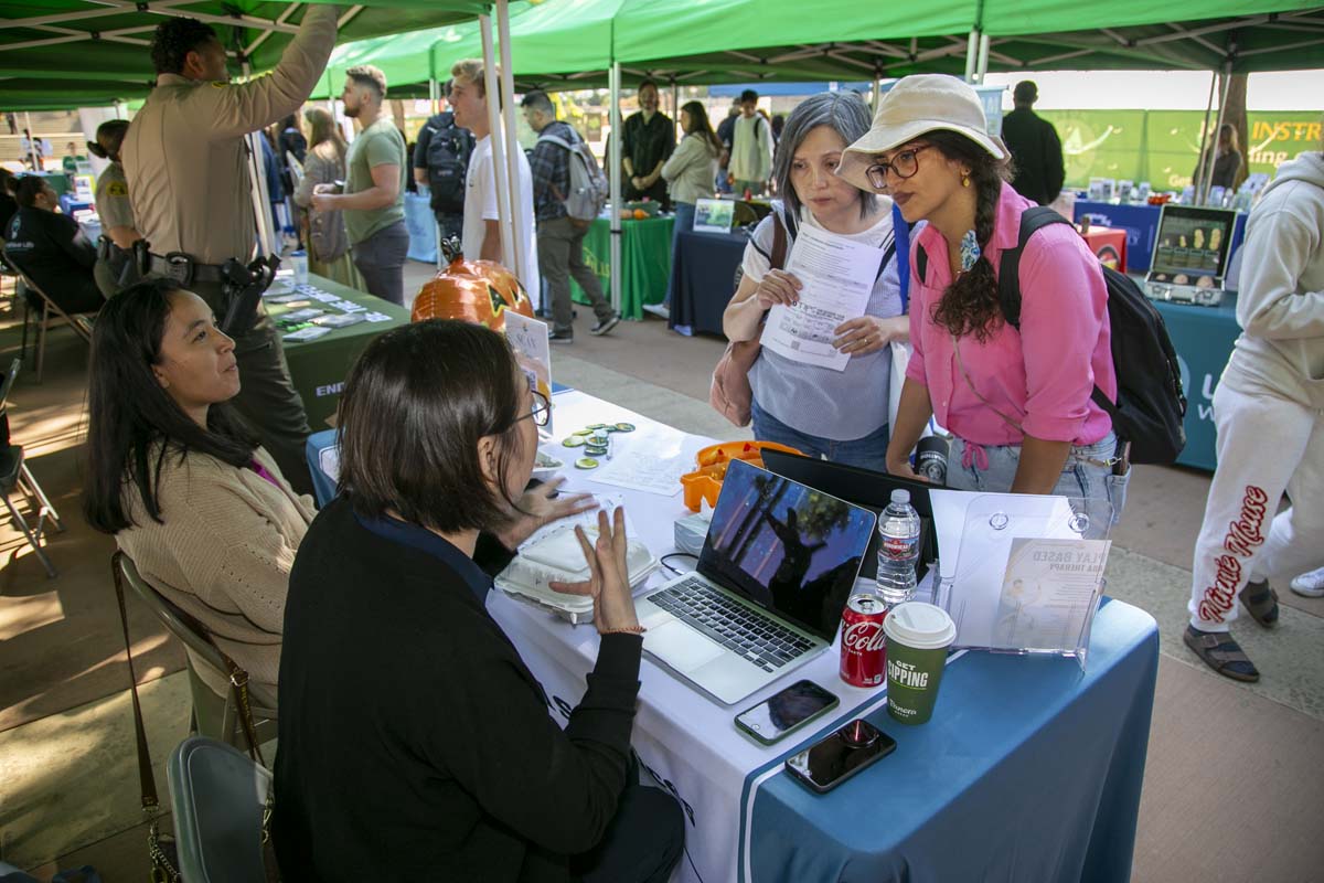 Hello Major, Hello Career Fair.