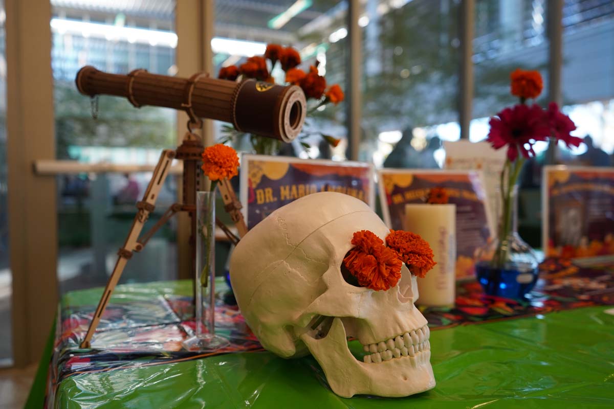 Dia De Los Muertos Celebration