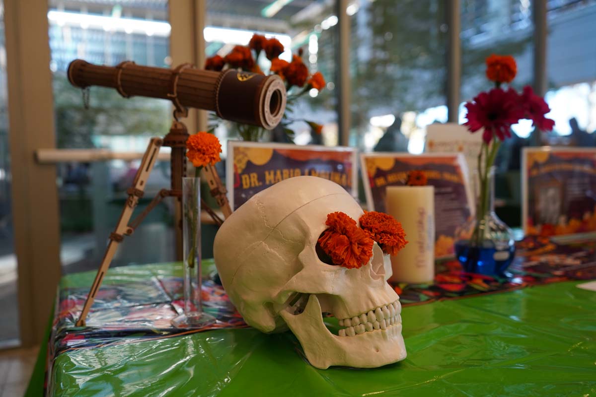 Dia De Los Muertos Celebration