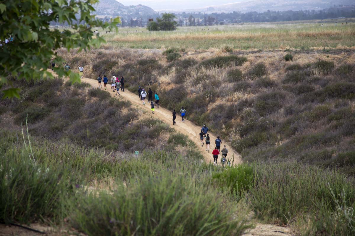 Racers in the distance