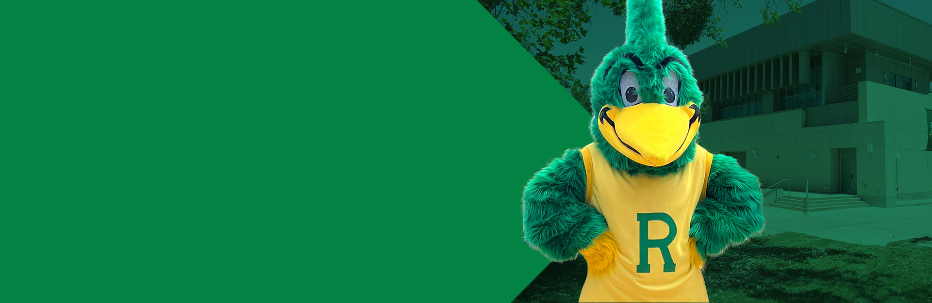 Roadrunner mascot