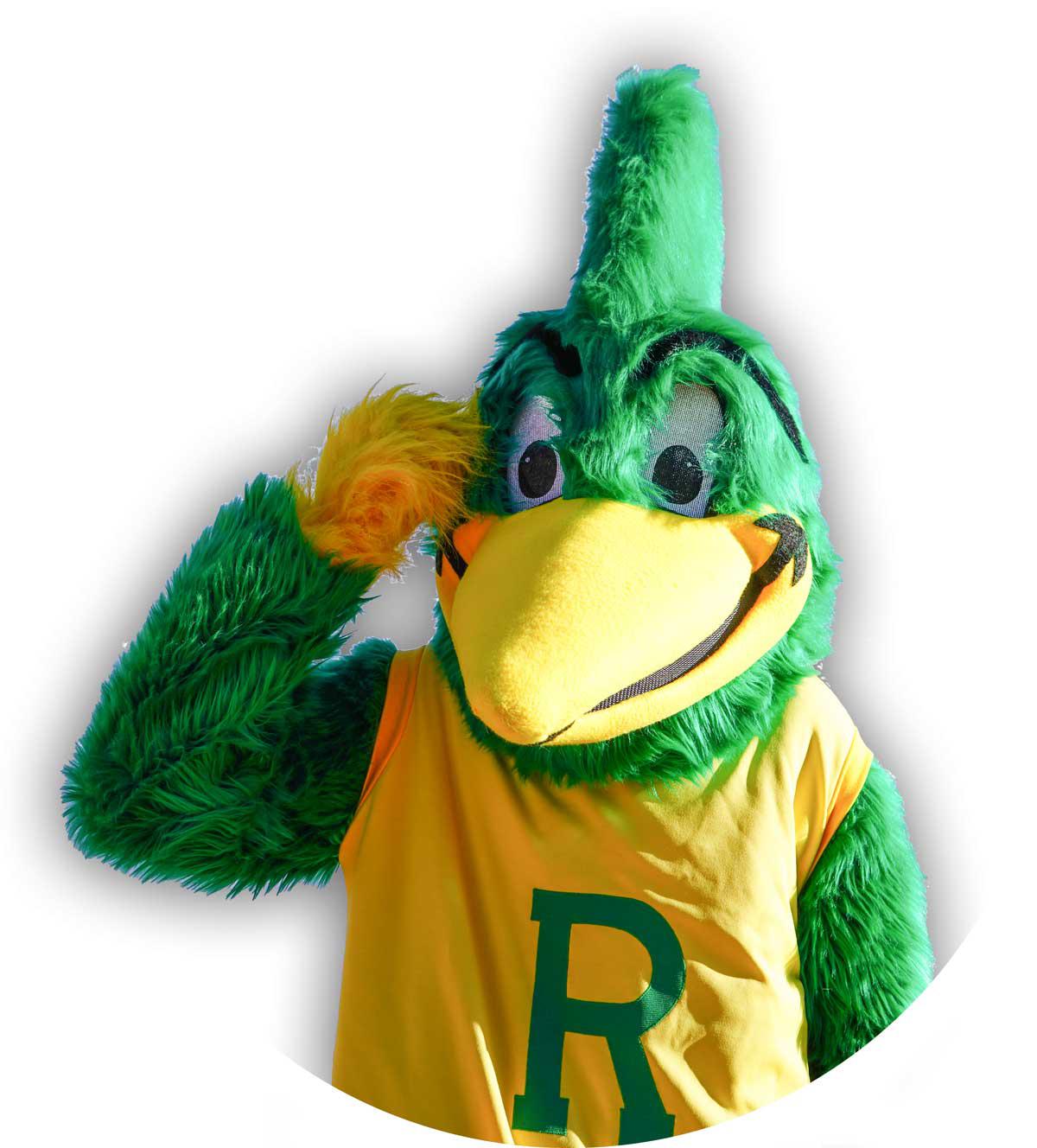 Roadrunner mascot