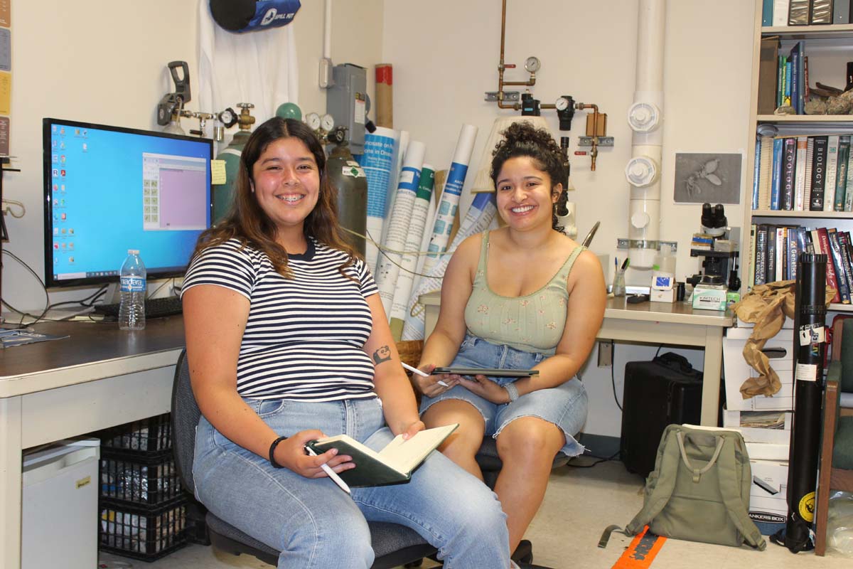 Students Conducting Research