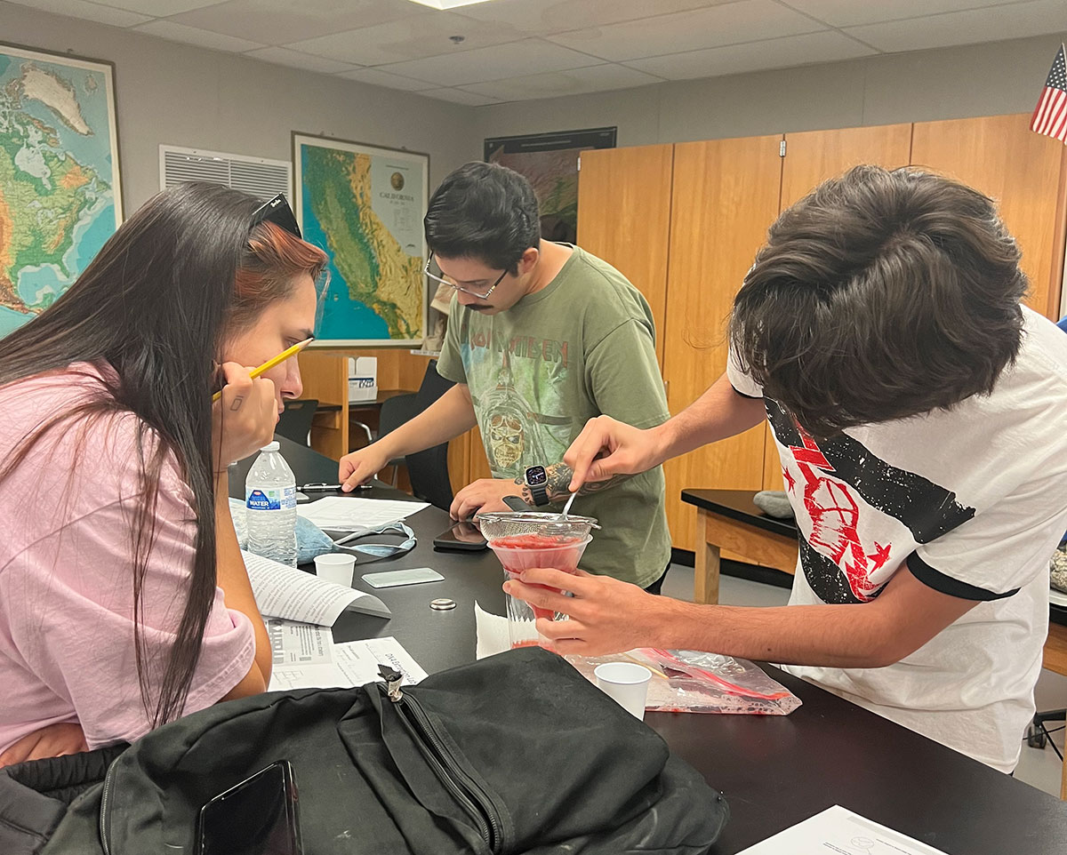 Students in lab