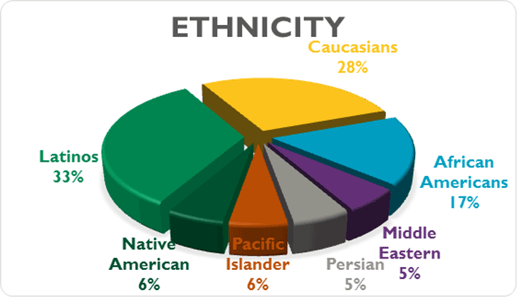 Ethnicity: Latinos 33%. Caucasians 28%. African Americans 17%. Native Americans 6%. Pacific Islander 6%. Persian 5%. Middle Eastern 5%.