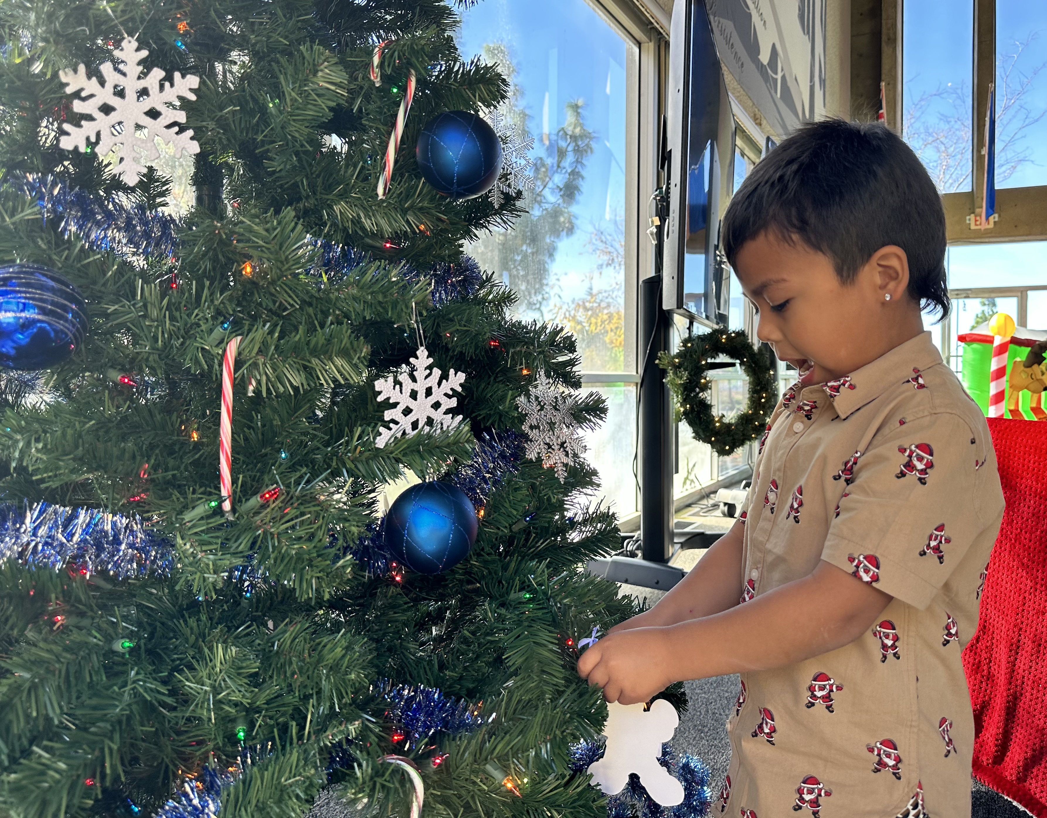 Child hangs ornament on tree.