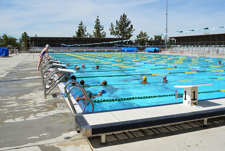 People swimming in pool