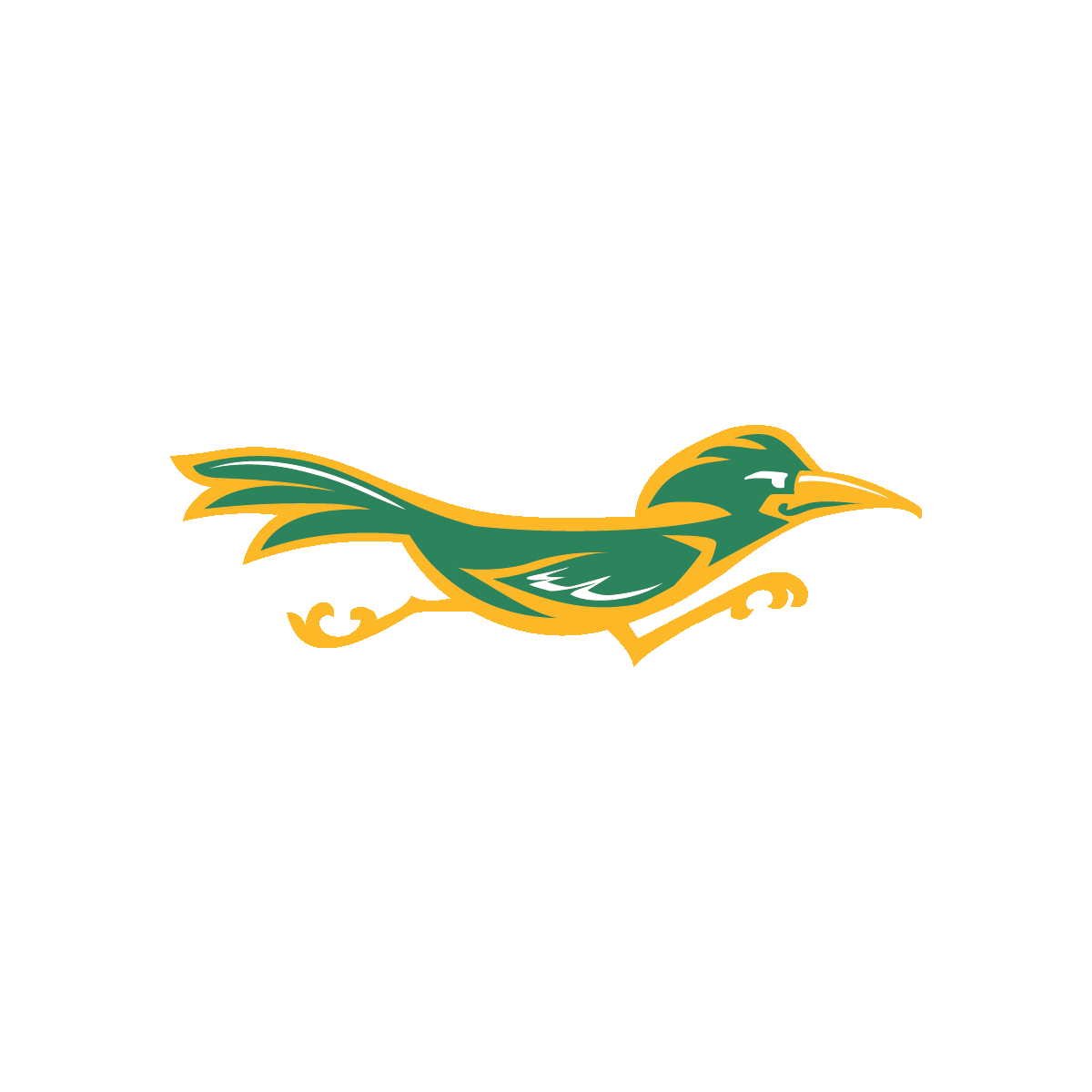 roadrunner mascot