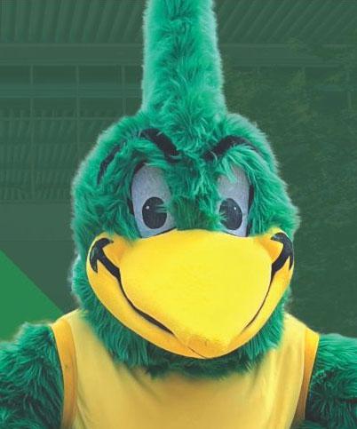 Ryker the Roadrunner