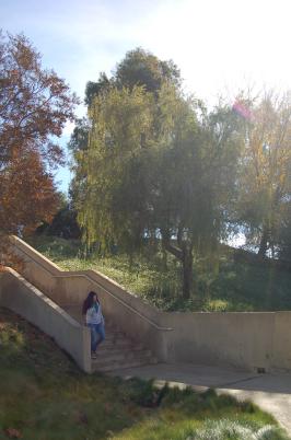 A student on a staircase by some trees.